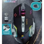 MOUSE Q6