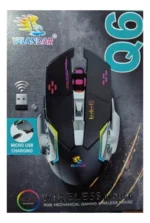 MOUSE Q6