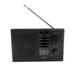 RADIO DEXBO AM Y FM CON CONTROL - Imagen 5